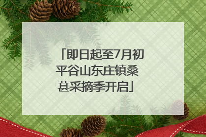 即日起至7月初 平谷山东庄镇桑葚采摘季开启
