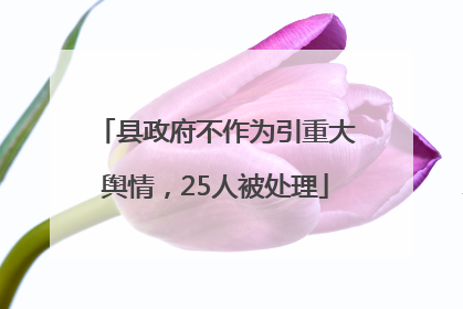 县政府不作为引重大舆情，25人被处理