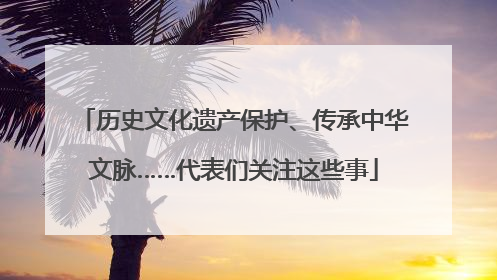 历史文化遗产保护、传承中华文脉……代表们关注这些事