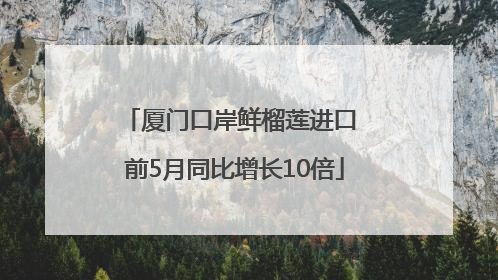 厦门口岸鲜榴莲进口 前5月同比增长10倍