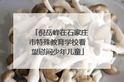 倪岳峰在石家庄市特殊教育学校看望慰问少年儿童