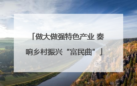 做大做强特色产业 奏响乡村振兴“富民曲”