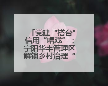 党建“搭台”信用“唱戏”：宁阳华丰管理区解锁乡村治理“信用密码”