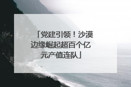 党建引领！沙漠边缘崛起超百个亿元产值连队