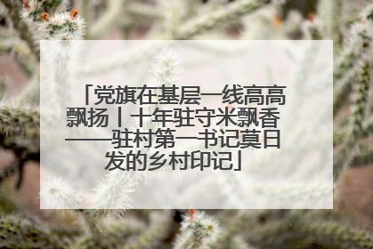 党旗在基层一线高高飘扬丨十年驻守米飘香——驻村第一书记莫日发的乡村印记