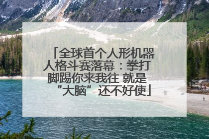 全球首个人形机器人格斗赛落幕：拳打脚踢你来我往 就是“大脑”还不好使