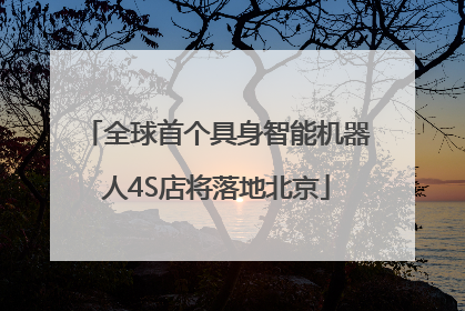 全球首个具身智能机器人4S店将落地北京