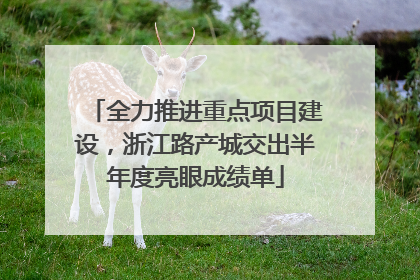 全力推进重点项目建设，浙江路产城交出半年度亮眼成绩单
