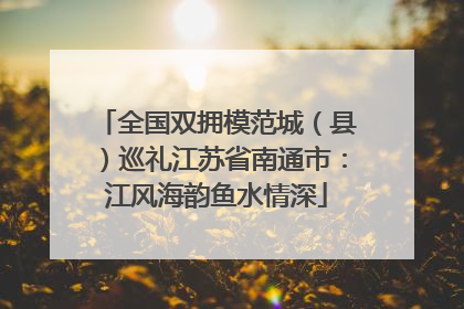 全国双拥模范城（县）巡礼江苏省南通市：江风海韵鱼水情深