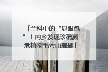 兰科中的“显眼包”！内乡发现珍稀濒危植物毛萼山珊瑚