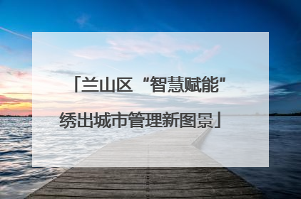 兰山区“智慧赋能”绣出城市管理新图景