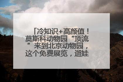 冷知识+高颜值！莫斯科动物园“顶流”来到北京动物园，这个免费展览，遛娃拍照两不误！