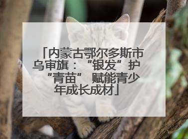 内蒙古鄂尔多斯市乌审旗：“银发”护“青苗” 赋能青少年成长成材
