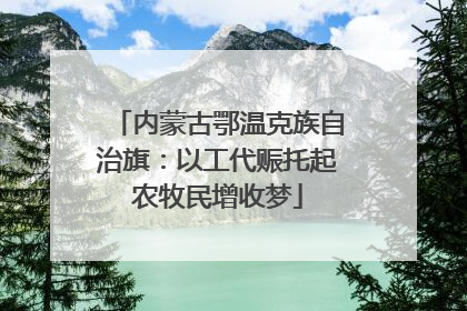 内蒙古鄂温克族自治旗：以工代赈托起农牧民增收梦