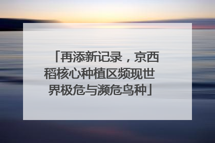 再添新记录，京西稻核心种植区频现世界极危与濒危鸟种