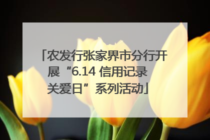 农发行张家界市分行开展“6.14 信用记录关爱日”系列活动