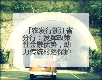 农发行浙江省分行：发挥政策性金融优势，助力传统村落保护利用