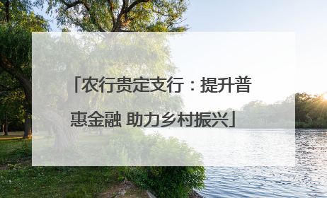 农行贵定支行：提升普惠金融 助力乡村振兴