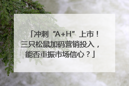 冲刺“A+H”上市！三只松鼠加码营销投入，能否重振市场信心？