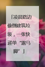 凌晨路边偷倒建筑垃圾，一张快递单“露马脚”