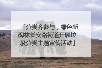 分类齐参与，绿色新碑林长安路街道开展垃圾分类主题宣传活动