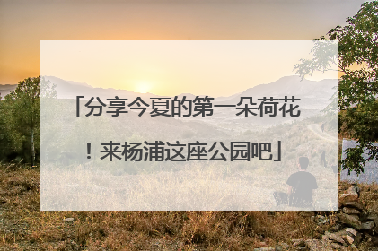 分享今夏的第一朵荷花！来杨浦这座公园吧