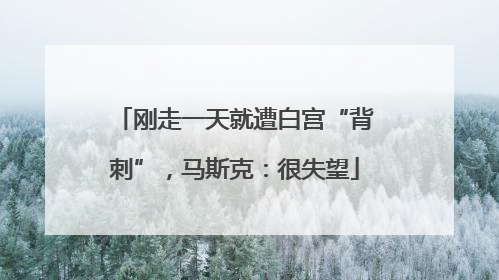 刚走一天就遭白宫“背刺”，马斯克：很失望