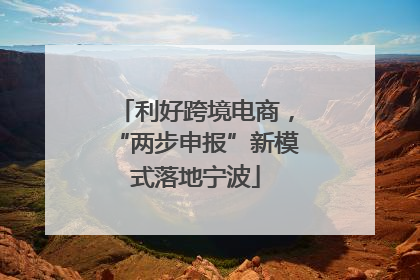 利好跨境电商，“两步申报”新模式落地宁波