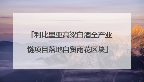 利比里亚高粱白酒全产业链项目落地自贸雨花区块