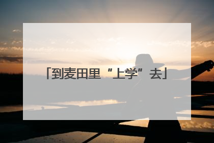 到麦田里“上学”去