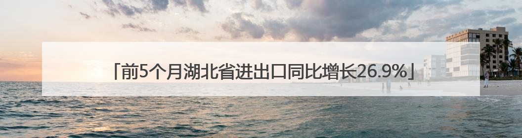 前5个月湖北省进出口同比增长26.9%