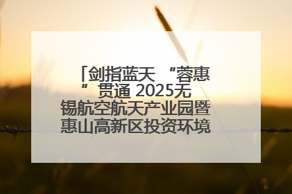 剑指蓝天 “蓉惠”贯通 2025无锡航空航天产业园暨惠山高新区投资环境推介会在成都举行