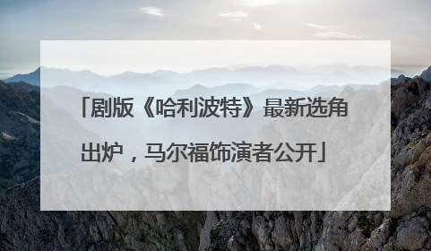 剧版《哈利波特》最新选角出炉，马尔福饰演者公开
