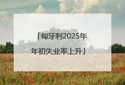 匈牙利2025年年初失业率上升