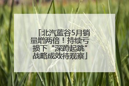 北汽蓝谷5月销量增两倍！持续亏损下“深蹲起跳”战略成效待观察
