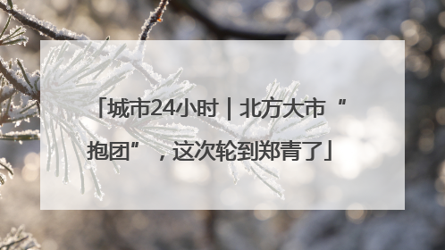 城市24小时｜北方大市“抱团”，这次轮到郑青了