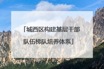 城西区构建基层干部队伍梯队培养体系