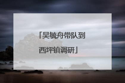 吴毓舟带队到西坪镇调研