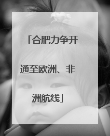 合肥力争开通至欧洲、非洲航线