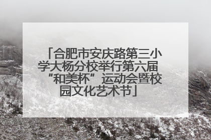合肥市安庆路第三小学大杨分校举行第六届“和美杯”运动会暨校园文化艺术节