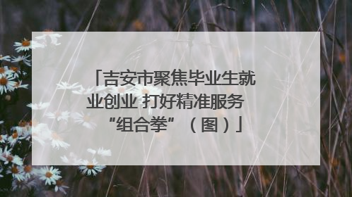 吉安市聚焦毕业生就业创业 打好精准服务“组合拳”（图）