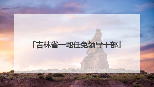 吉林省一地任免领导干部