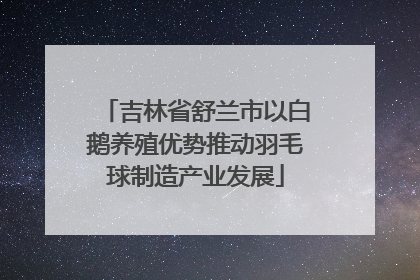 吉林省舒兰市以白鹅养殖优势推动羽毛球制造产业发展