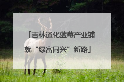 吉林通化蓝莓产业铺就“绿富同兴”新路