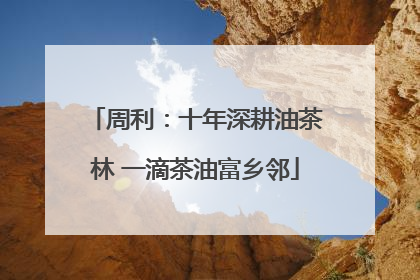 周利：十年深耕油茶林 一滴茶油富乡邻