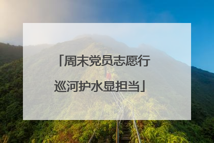 周末党员志愿行 巡河护水显担当