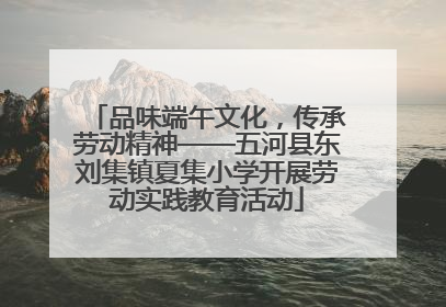 品味端午文化，传承劳动精神——五河县东刘集镇夏集小学开展劳动实践教育活动