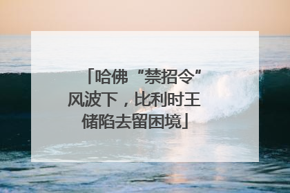 哈佛“禁招令”风波下，比利时王储陷去留困境