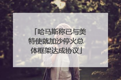 哈马斯称已与美特使就加沙停火总体框架达成协议