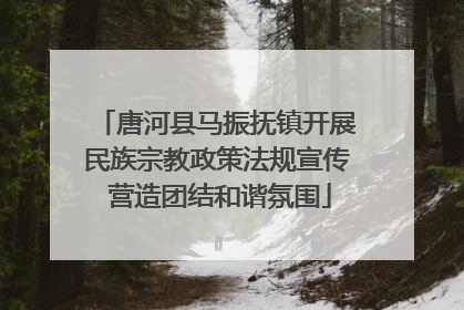 唐河县马振抚镇开展民族宗教政策法规宣传 营造团结和谐氛围